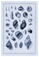 "Shells: Sessile Cirripedes #2 (Blue)" Paper Print by G.B. Sowerby, 34"x50"
