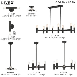 Livex Lighting Black 4-Light Mini Chandelier