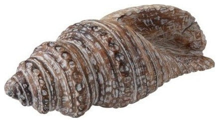 Dimond Home 159-002 Decorative Wooden Conch Shell