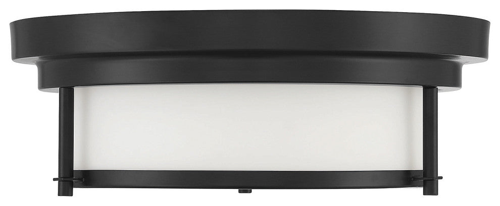 2-Light Ceiling Light, Matte Black