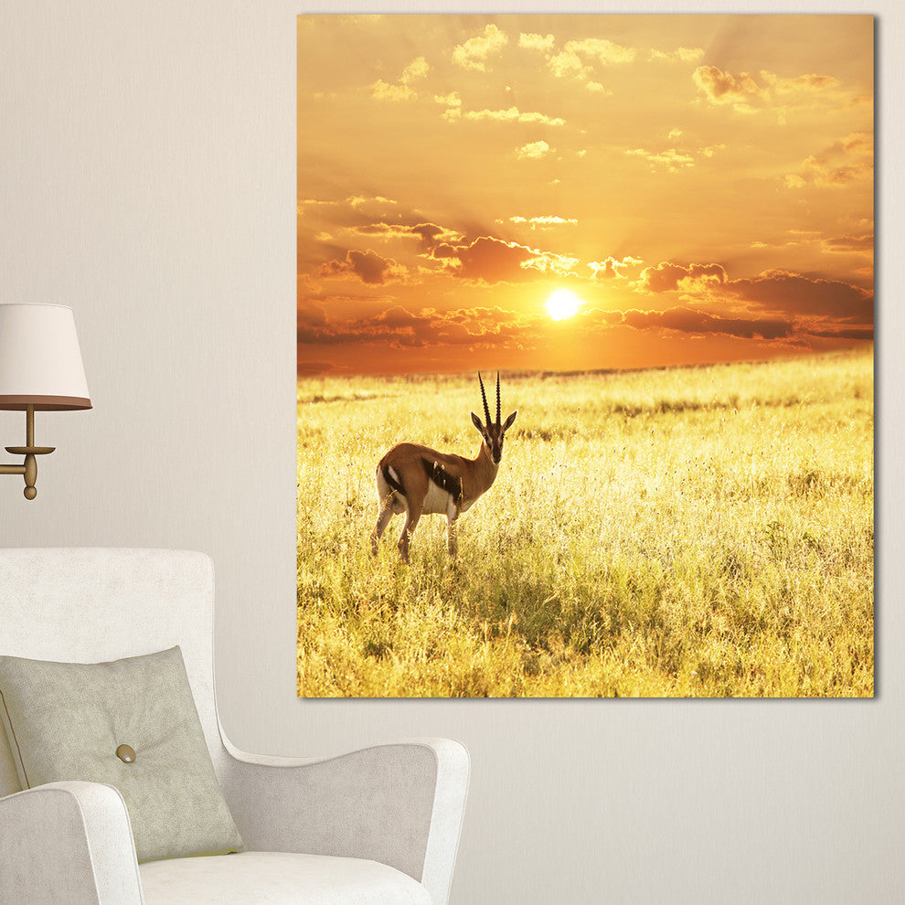 Solitary Antelope in Grassland, African Landscape Canvas Art Print, 30"x40"