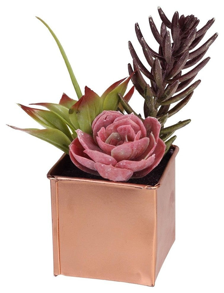 Full product on white background showing the entire copper square pot with succulents (primary product shot).