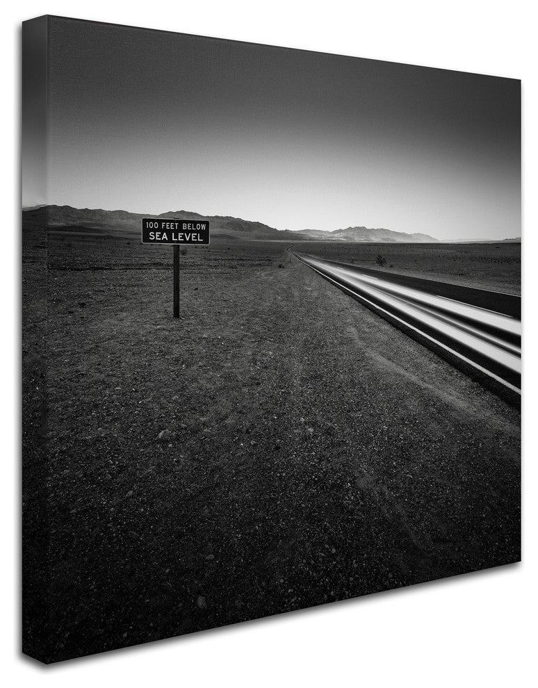 ''Low'' Canvas Art by Dave MacVicar