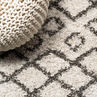 Algaida Moroccan Diamond Shag Beige/Dark Gray 5'x8' Area Rug