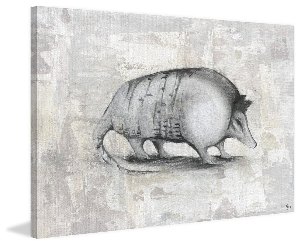 "Armadillo II" Painting Print on Wrapped Canvas, 24"x16"