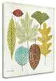 "Woodland Leaves" By Michael Mullan, Giclee Print on Gallery Wrap Canvas