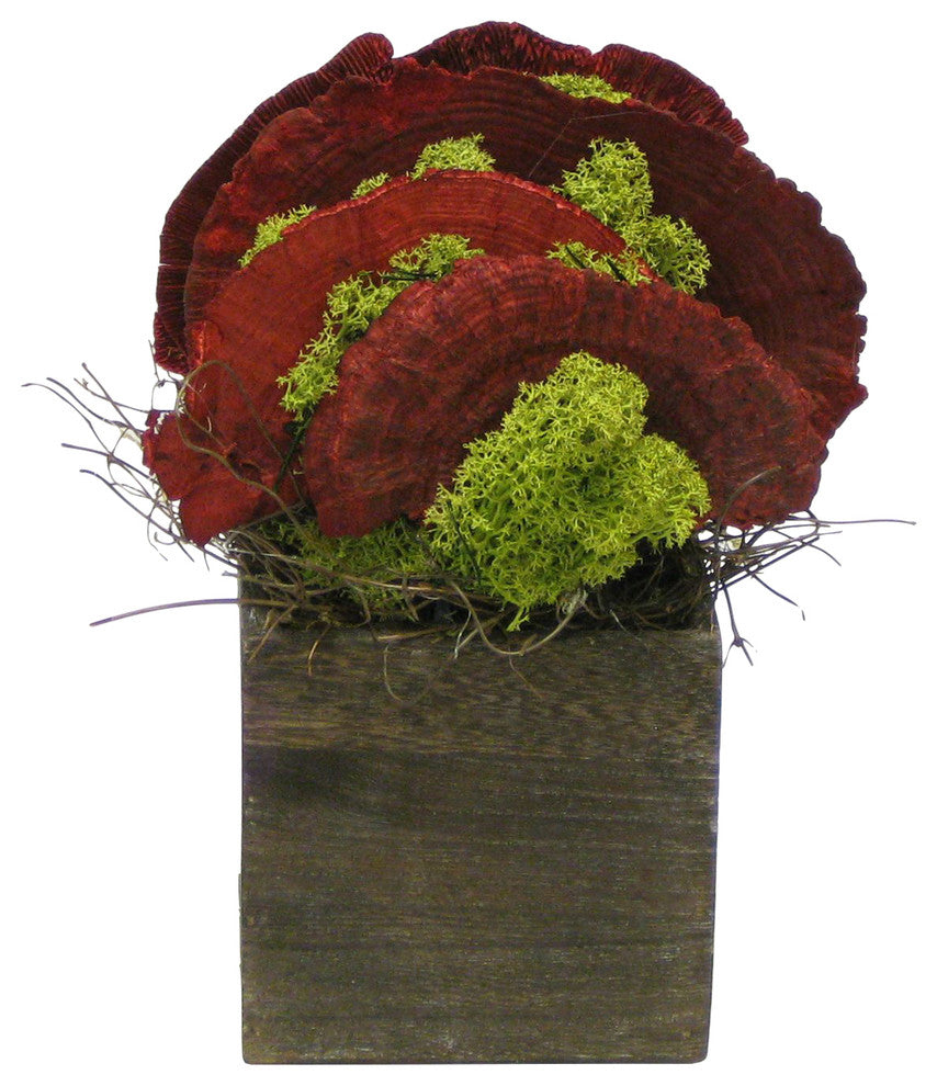 Wooden Cube Brown Stain, Sponge Mushrooms Red, Red