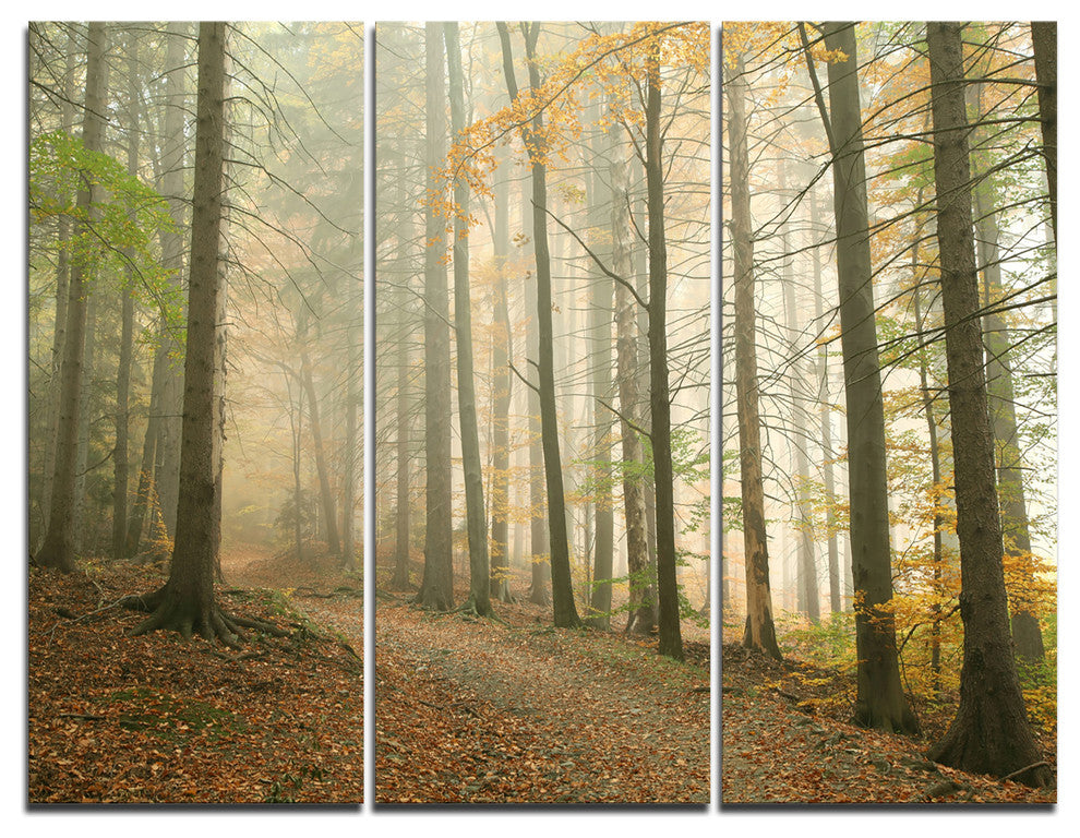 "Path in Misty Autumn Forest" Photo Canvas Print, 3 Panels, 36"x28"