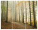 "Path in Misty Autumn Forest" Photo Canvas Print, 3 Panels, 36"x28"