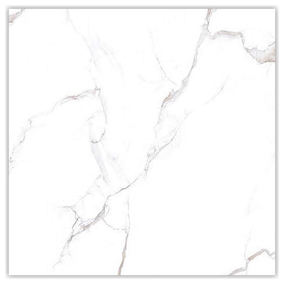 Calacatta Bronze Polished 24x24 Porcelain Tile