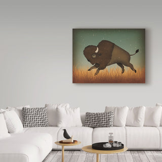Ryan Fowler 'Buffalo Bison II' Canvas Art