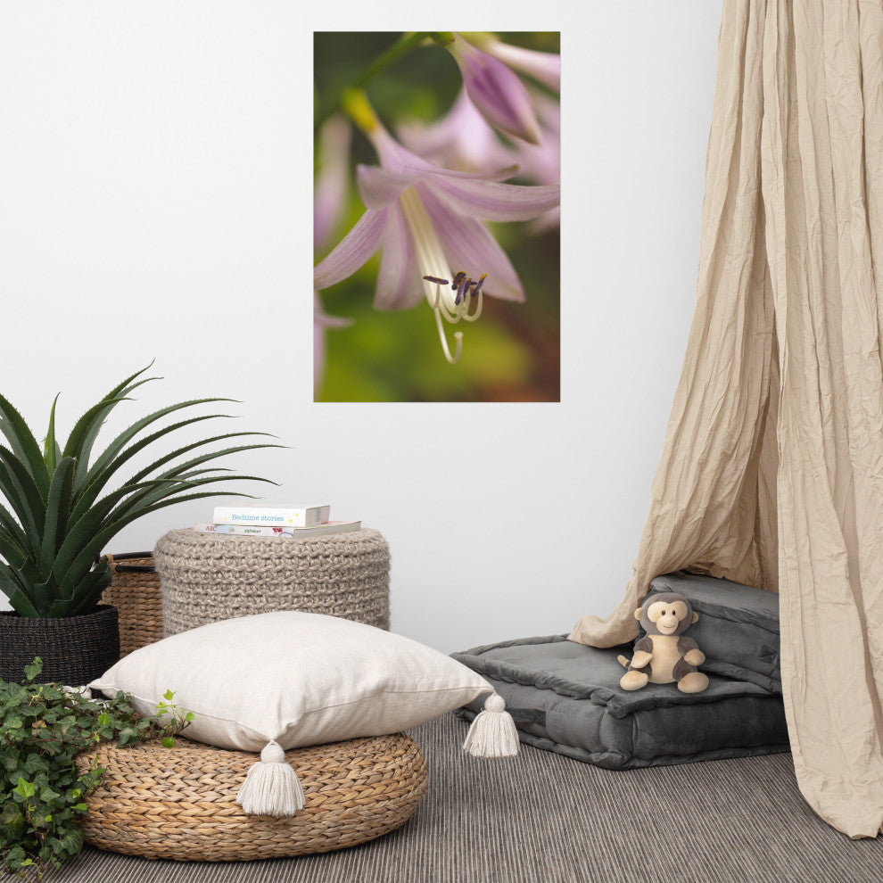 Close-up Hosta Bloom Nature Photography, Floral Unframed Wall Art Print, 24" X 36"