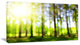 Green Bokeh in the Forest, Landscape Canvas Art Print, 32"x16"