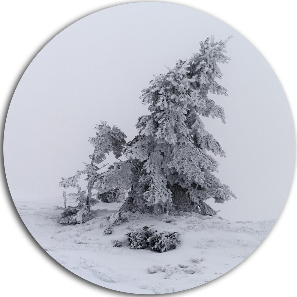 Grayscale Valley In Frost, Landscape Photo Disc Metal Wall Art, 23"