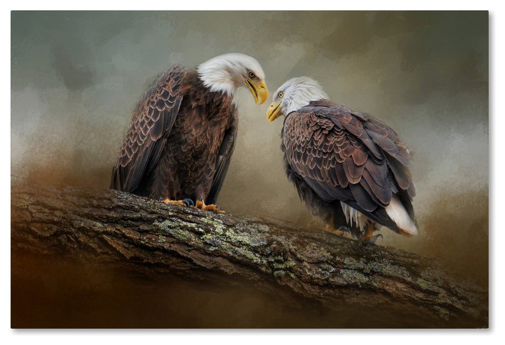 Jai Johnson 'Quiet Conversation Bald Eagles' Canvas Art, 32 x 22
