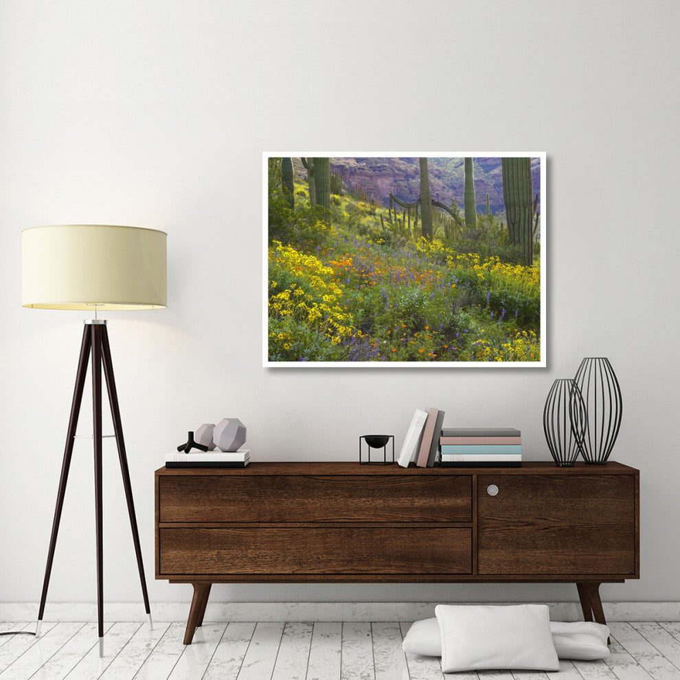 "Saguaro amid flowering Lupine, Organ Pipe Cactus Monument" Paper Art, 50"x38"