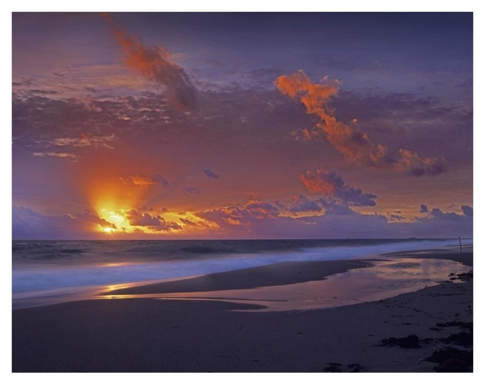 "McArthur beach at sunrise, Florida" Paper Print by Tim Fitzharris, 18"x14"