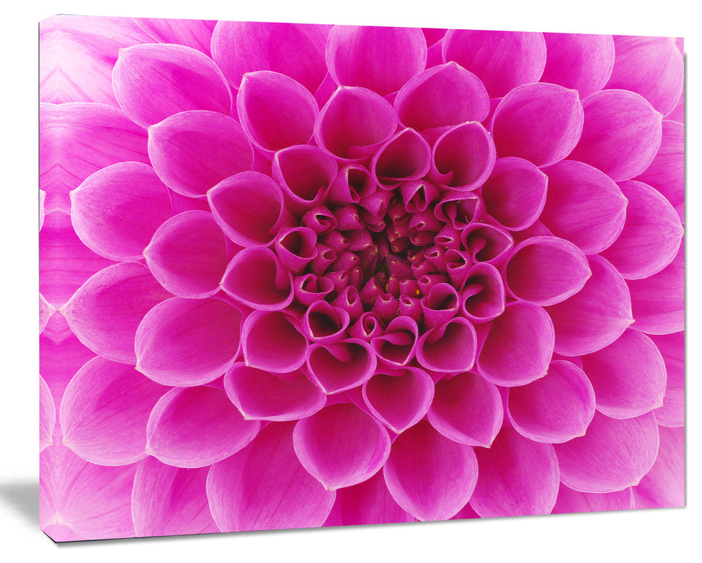 Large Pink Flower and Petals, Floral Canvas Art Print, 40"x30"