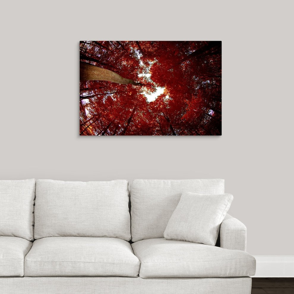 "Red Fisheyes" Wrapped Canvas Art Print, 36"x24"x1.5"