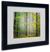 'Sugar Low' Matted Framed Canvas Art by Philippe Sainte-Laudy