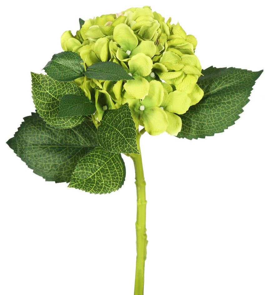 Vickerman 15"Short Stem Hydrangea X 2, Green, Set of 3