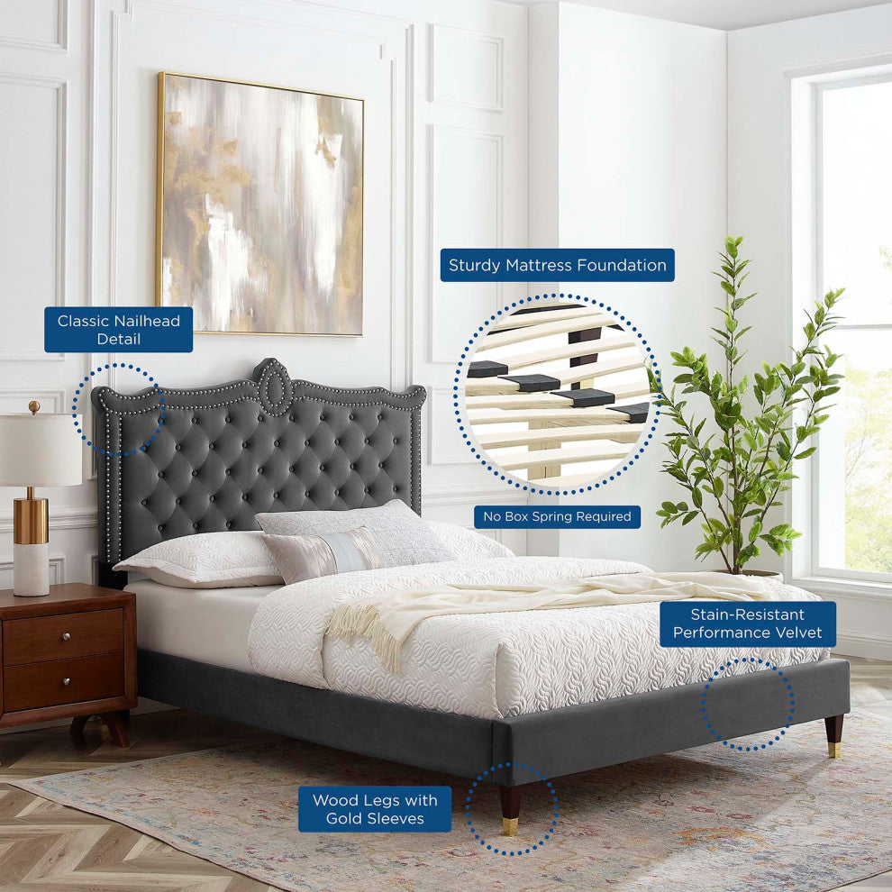 Platform Bed Frame, Nailhead, Queen Size, Charcoal Gray, Velvet, Modern
