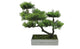 18" Decorative Artificial Japenese Bonsai Tree in Distressed Box
