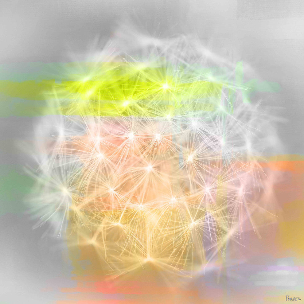 "Taraxacum" Fine Art Canvas Print, 48"x48"