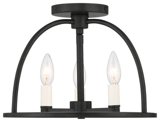 Abbott 3-Light Black Ceiling Mount