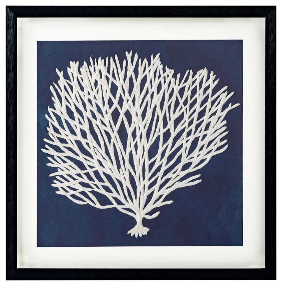 Sea Fan, Shadow Box, Sea Fan 1