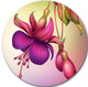 Fuchsia Flowers With Green Leaves, Floral Round Wall Art, 36"