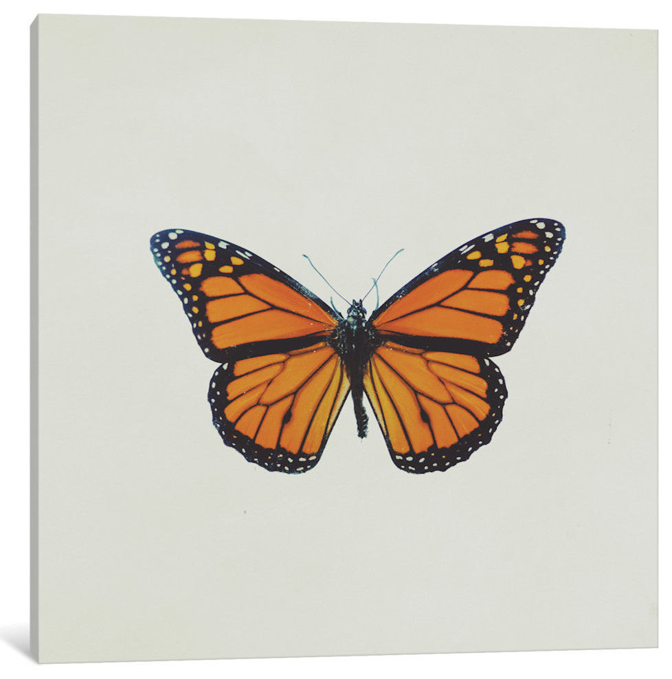 "Butterfly" by Chelsea Victoria, 37x37x1.5
