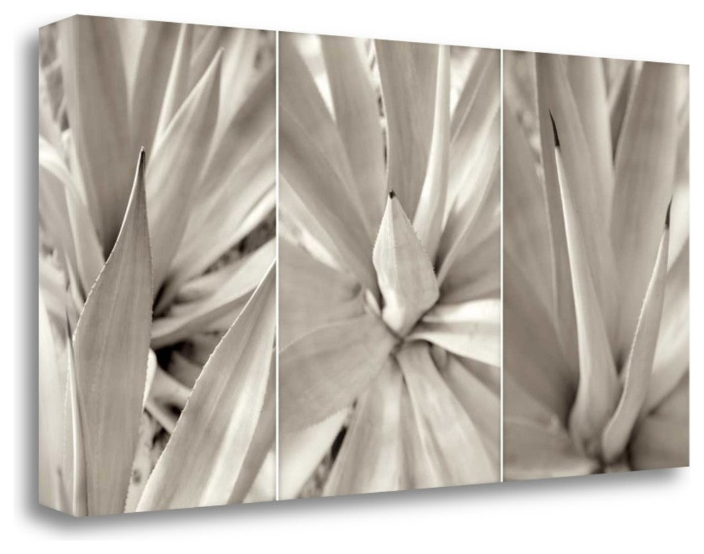 "Floral Panel - 4" By Alan Blaustein, Giclee Print on Gallery Wrap Canvas