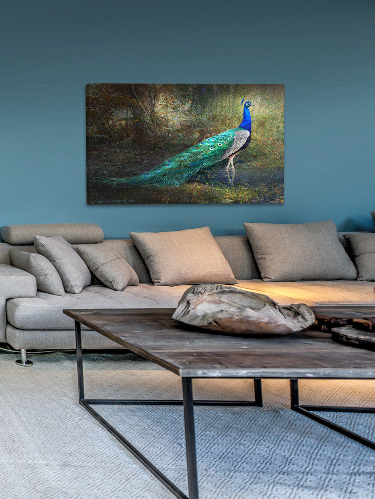 "Jungle Stream Peacock" Art Print, 91x61 cm