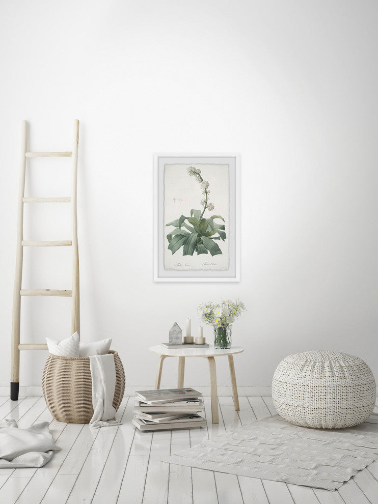 "Aletris Fragrans" Framed Painting Print, 16"x24"