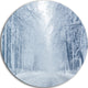 White Road And Winter Trees, Landscape Photo Round Wall Art, 23"