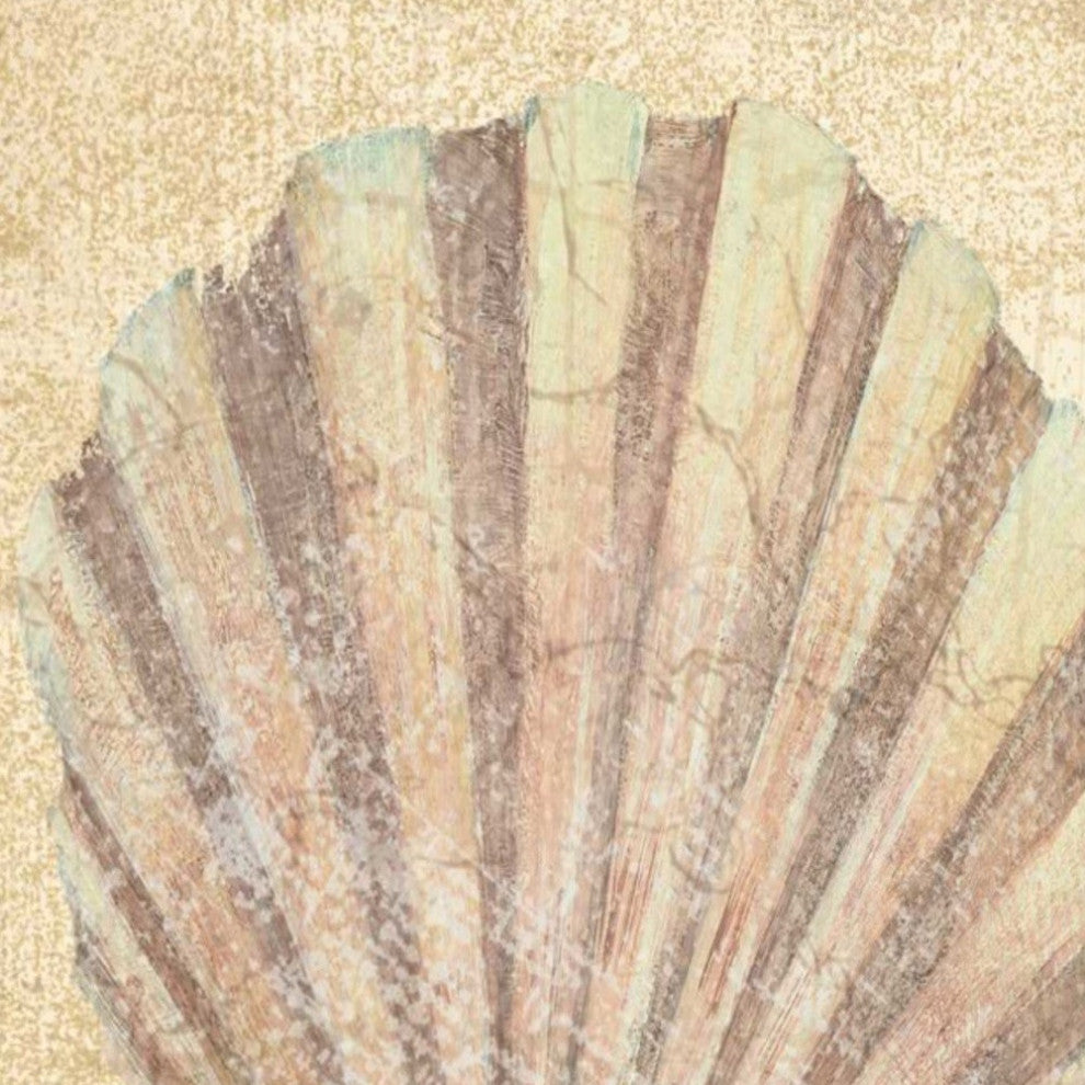 24" Bohemian Pastel Seashell Giclee Wrap Canvas Wall Art