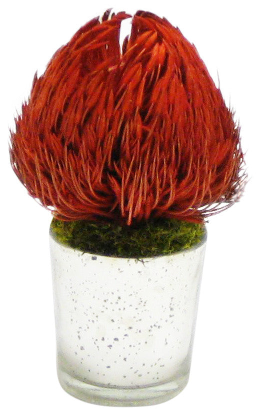 Banksia in Mercury Glass, Red