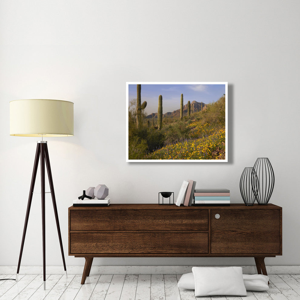 "Saguaro cacti and California Poppy field at Picacho Peak SP" Paper Art, 42"x32"
