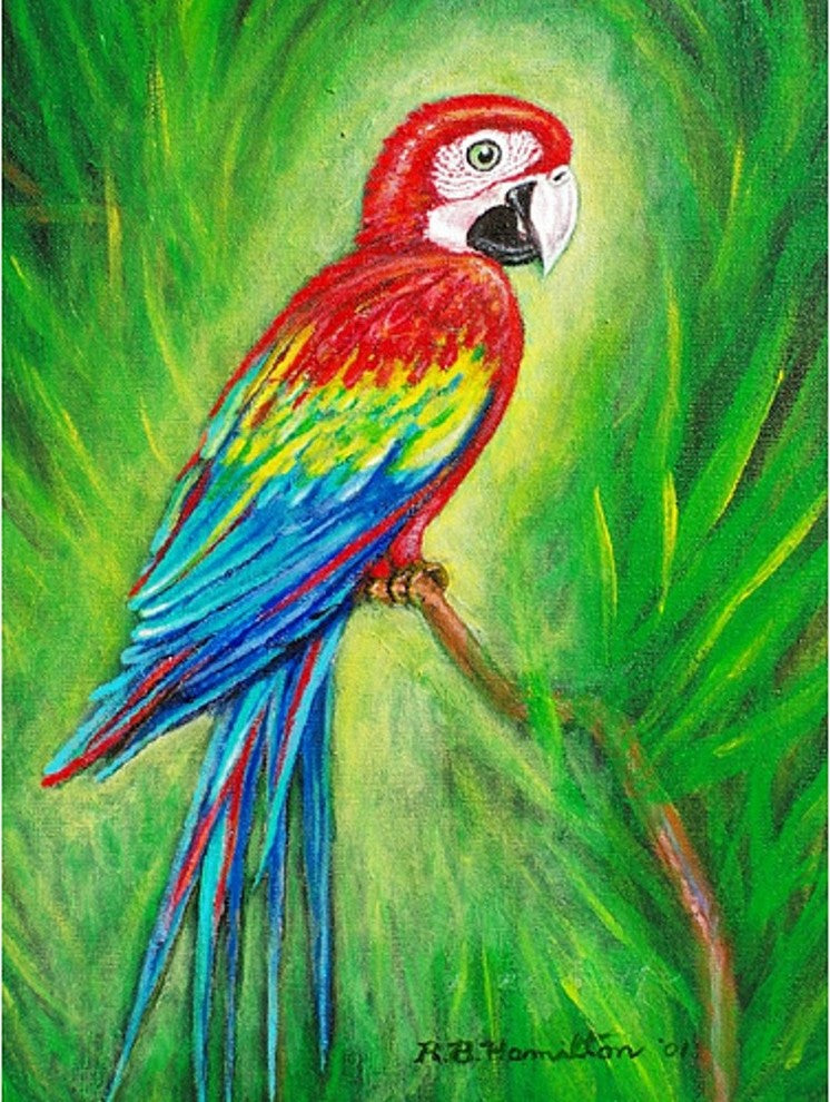 Betsy Drake Red Macaw Outdoor Wall Hanging 24x30