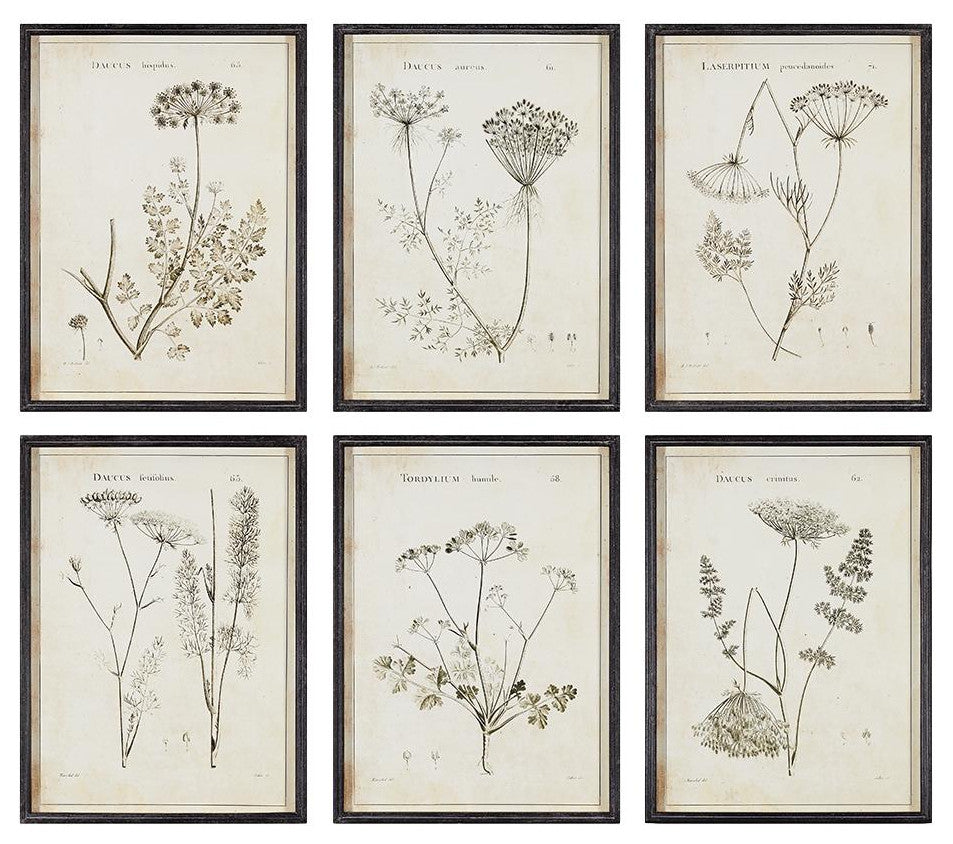 Set of 6 Black White Wild Flower Prints Vintage Style 24 in Wood Frame Gray
