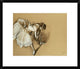 "Dancer Adjusting Her Shoe" Framed Digital Print by Edgar Degas, 24x20"