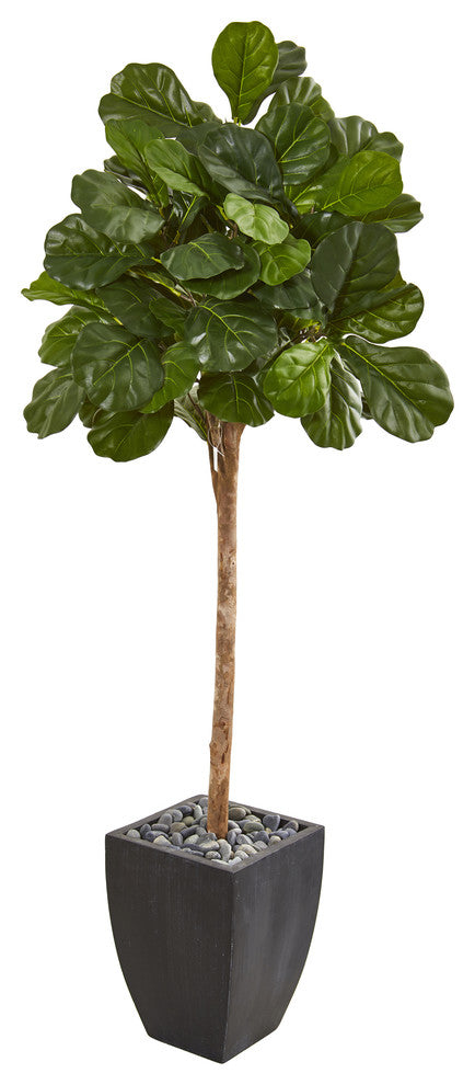71" Fiddle Leaf Fig Artificial Tree in Black Planter