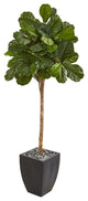 71" Fiddle Leaf Fig Artificial Tree in Black Planter