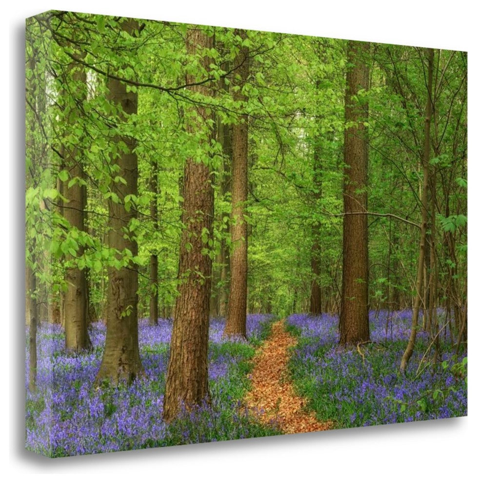 "Haller" By Lars Van De Goor, Giclee Print on Gallery Wrap Canvas, Ready to Hang