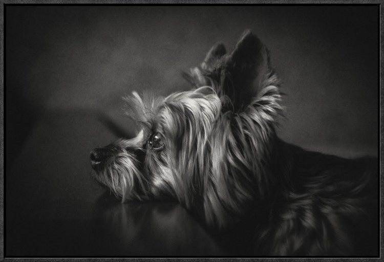 "I Have Been Waiting For You" Framed Canvas Giclee by Krisztina Lacz, 25x17"