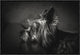 "I Have Been Waiting For You" Framed Canvas Giclee by Krisztina Lacz, 25x17"