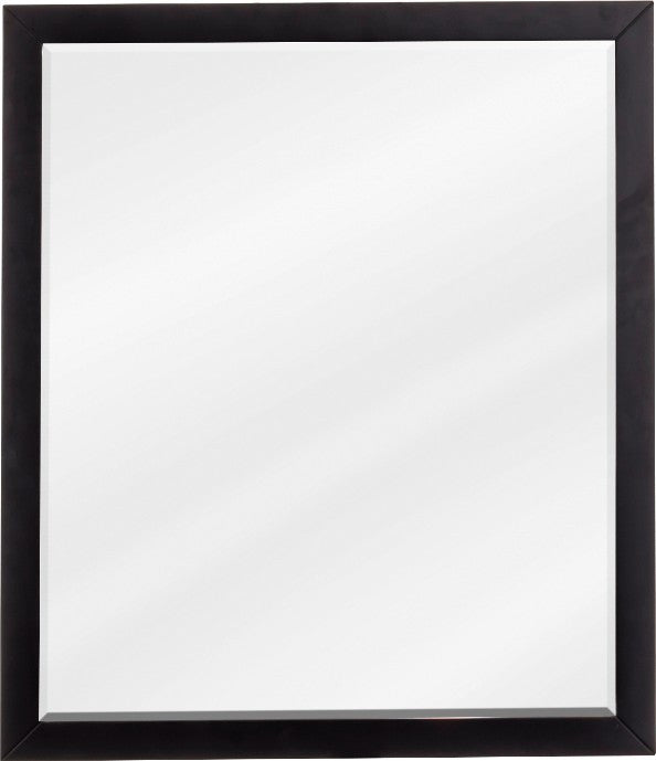 Adler Transitional 24" Hanging Mirror, Black Bathroom Mirror