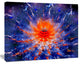 Colorful Glowing Flower in Space, Flower Artwork on Canvas, 20"x12"