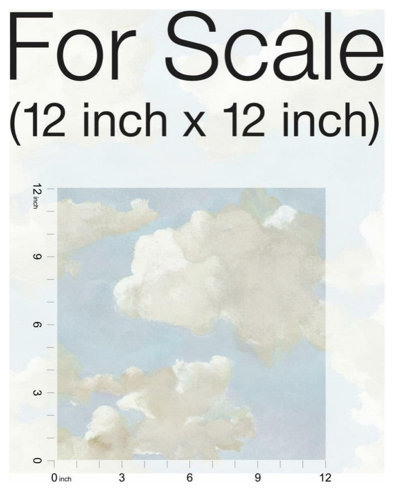 Clouds on Canvas Peel and Stick Wallpaper